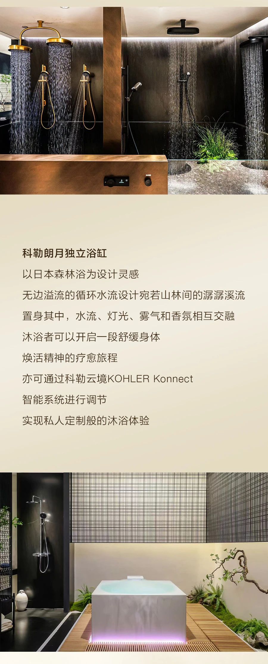08.jpg